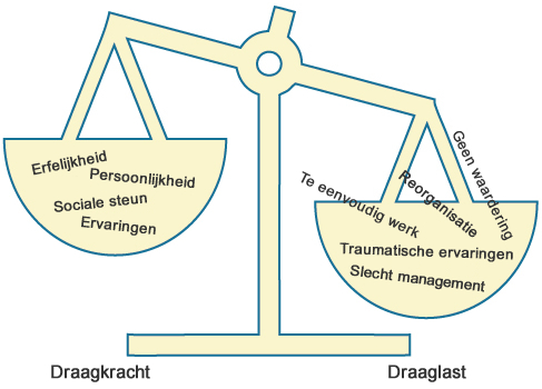 Draagkracht draaglast